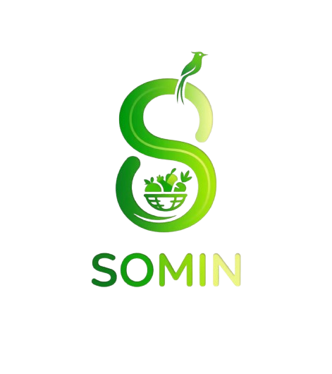 Somin